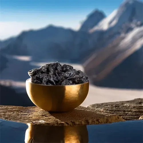 veganski proteini za hujšanje s shilajit
