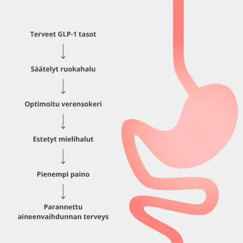 How MetaboLux GLP-1 works