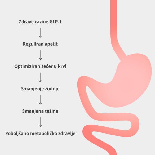 How MetaboLux GLP-1 works