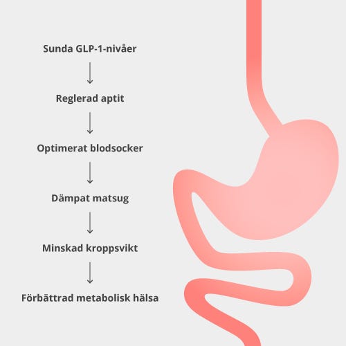 MetaboLux GLP-1 