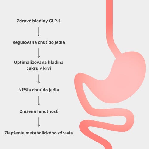 Ako Metabolux GLP-1 funguje