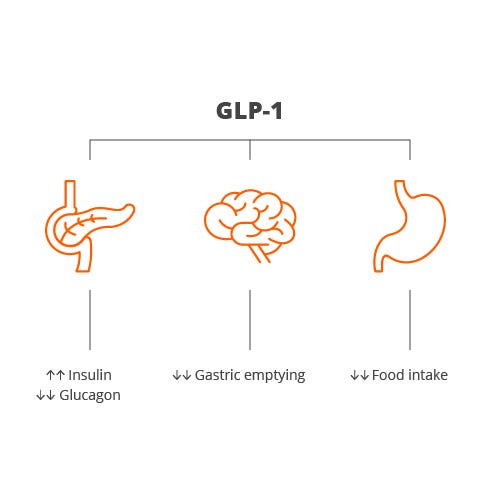 GLP-1 Active