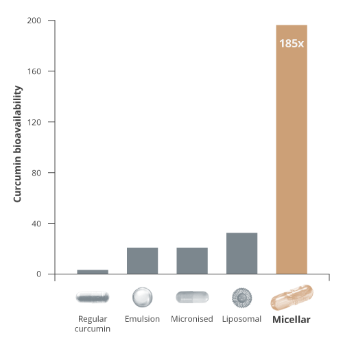 Curcumin bioavailability