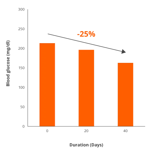 Blood glucose graph