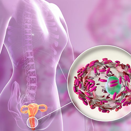 Gut microbiota