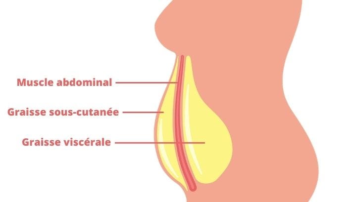 Graisse sous cutanée : ventre, comment la perdre, graisse