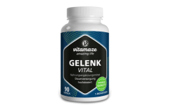 Gelenk Vital mit Glucosamin + Chondroitin + MSM + Hyaluronsäure, 90 Kapseln