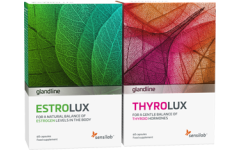 Oestrogen & Thyroid