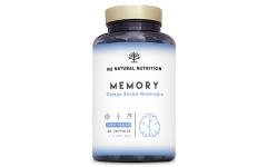Mémoire Ginkgo Biloba Nootropique