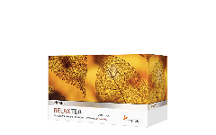 Tisane Anti-Stress : Relax Tea