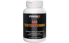 Mr Testosterone