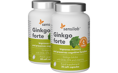 Ginkgo Forte x2
