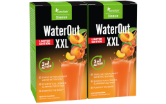 WaterOut XXL Edition Limitée Thé glacé à la pêche 1+1 OFFERT