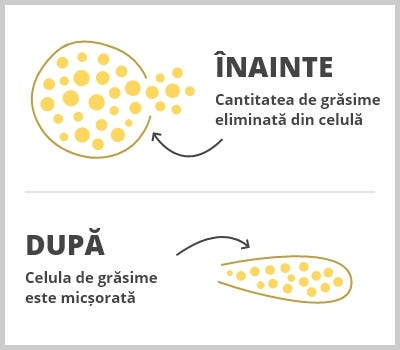 arderea celulelor de grăsime albă