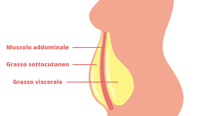 grasso-viscerale